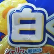 Image of 【レア・美品多め】シロクマ