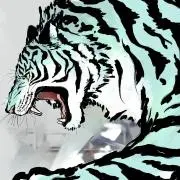 やしろの画像