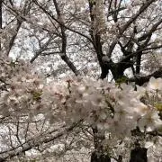 E8(プロフィールお読みください)の画像