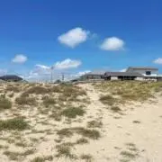 こなべの画像