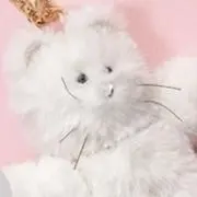 まゆみ子の画像