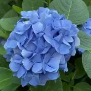 なんでもかんでもの画像