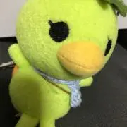 ぽぽぽの画像