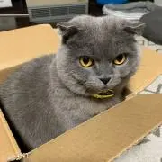まぁの画像
