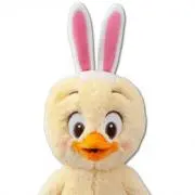 ひよこの画像