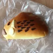 ごんの画像
