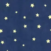 ゆーの画像