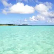 Miiの画像