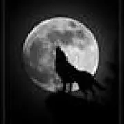 Lonely Wolfの画像