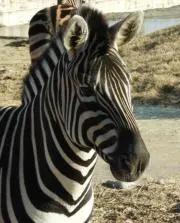 seekの画像
