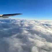 Toroの画像