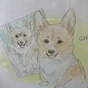 ちびちゃんの画像