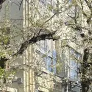 s . sの画像