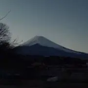 おおみや