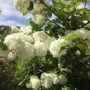 bebeetmereの画像