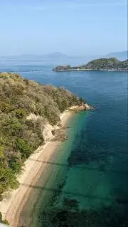 Arikaの画像