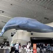 a_chamiの画像