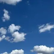 Yの画像