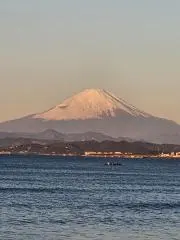 みむの画像