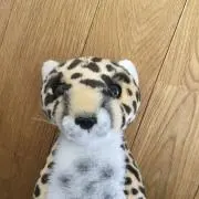 ドラえもんの画像