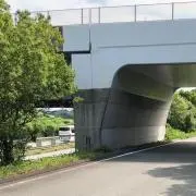 ポポポの画像