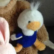 Larki