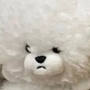 ぴい(即購入歓迎)の画像