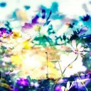あめ⭐︎まとめ買い値引きします！の画像