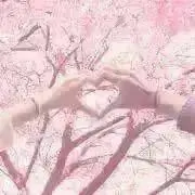 axia＊の画像
