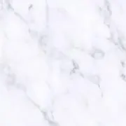 にゃんの画像