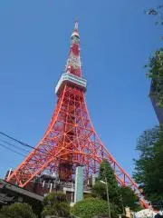 SMB1103の画像