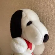 ㅋㅋㅋㅋㅋ