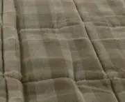 きよしの画像