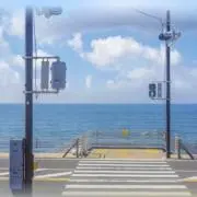 スイカの画像