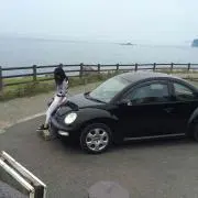 るりこま梅の画像