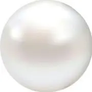 Eliの画像