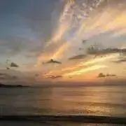 nakoの画像