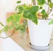 とも