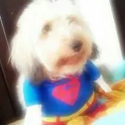 あやの画像