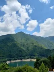 ゆずの画像