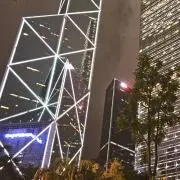 あしたばの画像