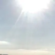 琴凉の画像