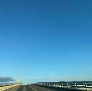 たぬきちの画像