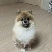 はる⭐︎即購入大歓迎⭐︎送料無料⭐︎の画像