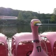 Nの画像