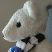 うたちゃんくまちゃんの画像