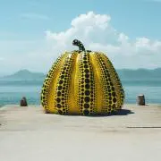 fuuの画像