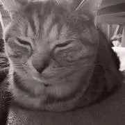 苺紗