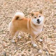 たもつ