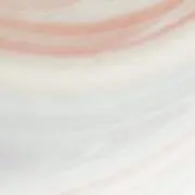衣服書籍等出品の画像
